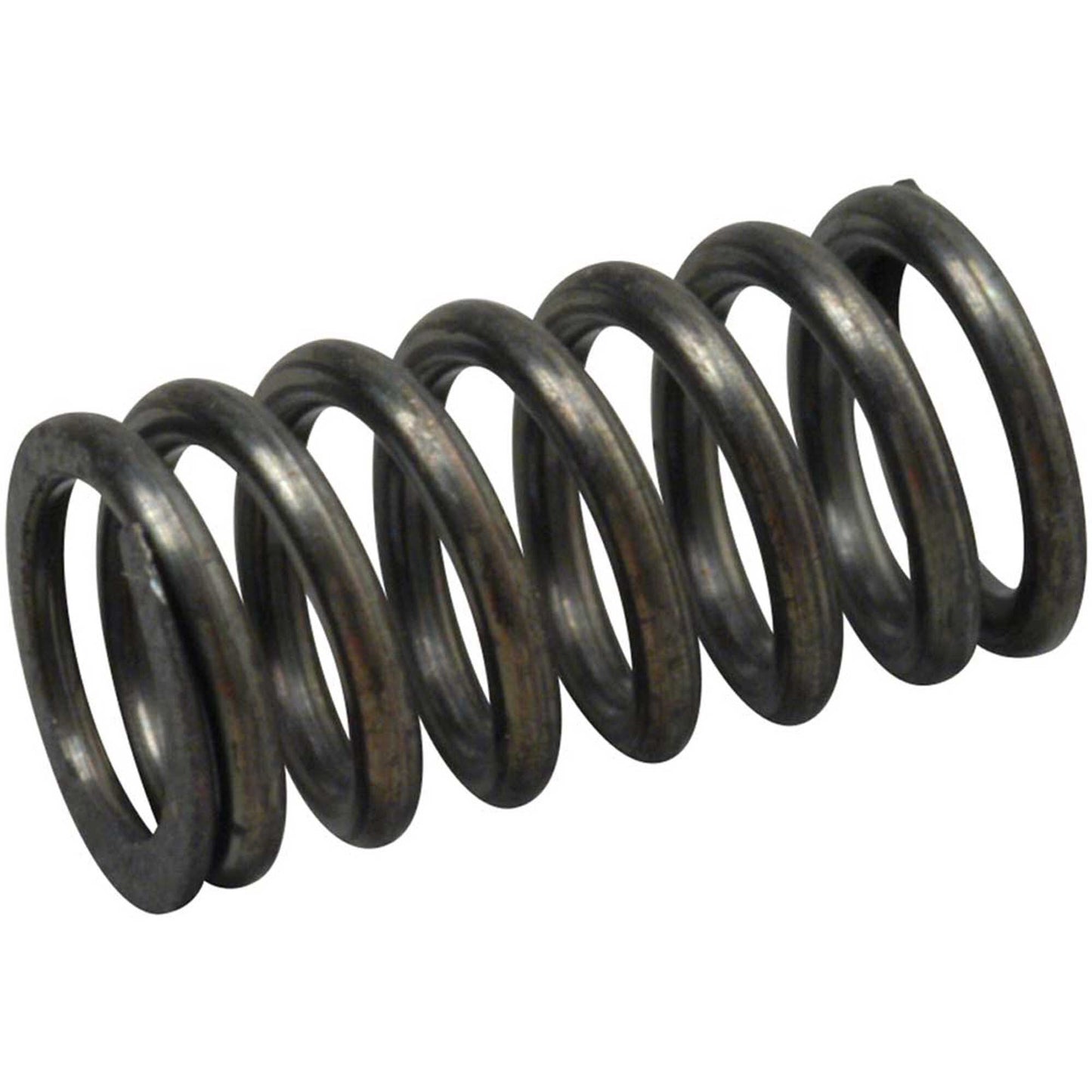 Valve Spring: FS-70 91SII